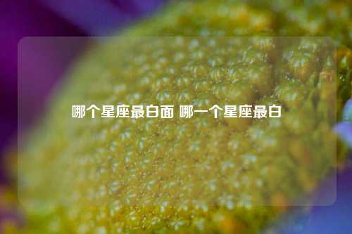 哪个星座最白面 哪一个星座最白