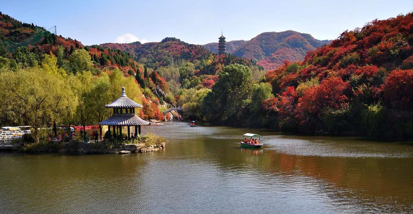 霜降节气_节气霜降的图片_节气霜降手抄报