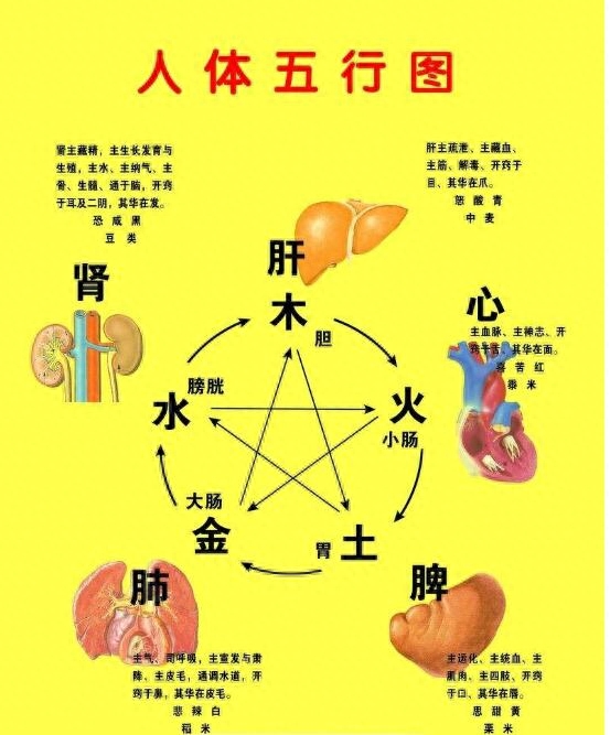 日柱和日主_日柱主星日元_日柱主星元女是什么意思