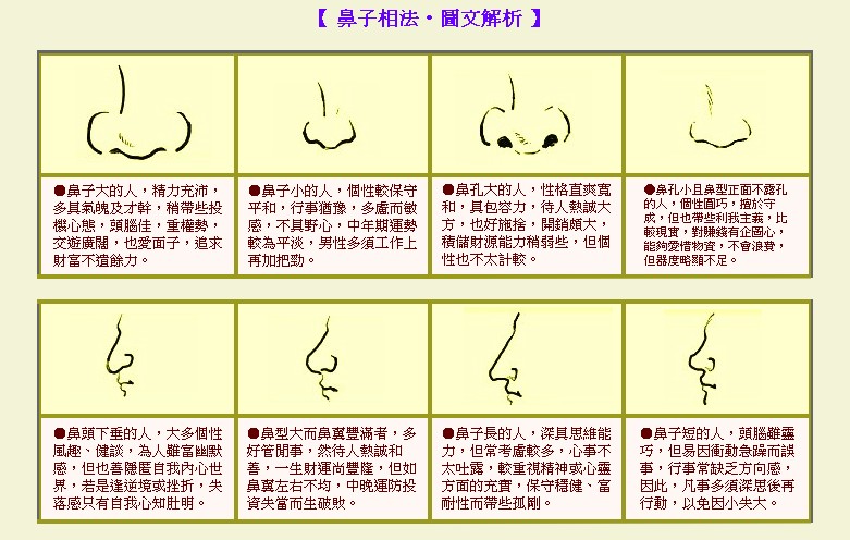 面相鼻头软_鼻头太大面相_鼻头大面相