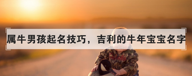 属牛男孩起名技巧，吉利的牛年宝宝名字