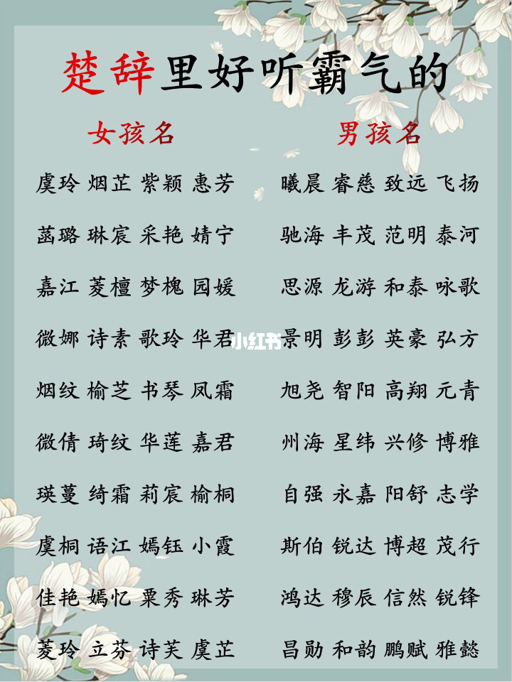 好听稀少的名字女孩_两字好听名字大全女孩名字_带冉名字好听女孩名字