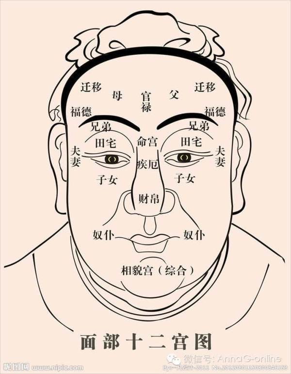 面相鼻子大_鼻子像猪鼻子的女人面相_鼻子长痣面相图