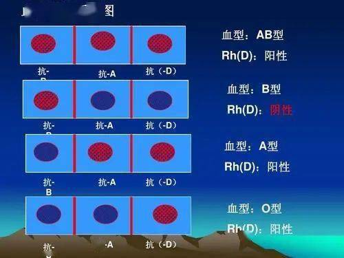 原来从血型就可以看出一个人的性格特点！史上最准排行榜！