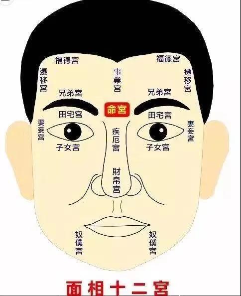 面相额头凹陷看相图解_额头有痣看相图解_女人眉毛有痣看相图解