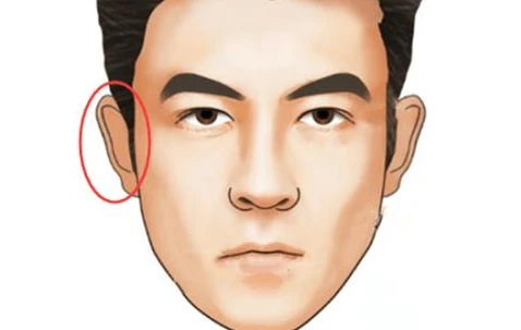 颧骨高的男人面相_男人颧骨宽+面相_男人颧骨高面相图解