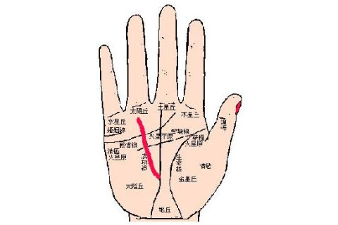 从手相看出来生男生女 手相如何判断生男生女