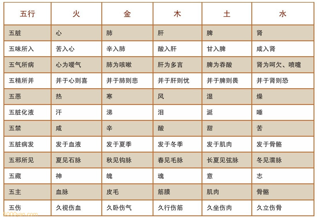 五行与健康_五行健康体操的好处_五行健康橾20分钟五行