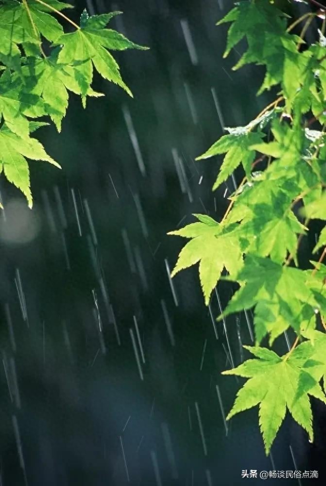 雨水节气的含义是什么意思_雨水节气的含义是什么意思_雨水节气的含义是什么意思