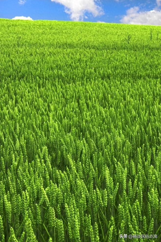 雨水节气的含义是什么意思_雨水节气的含义是什么意思_雨水节气的含义是什么意思