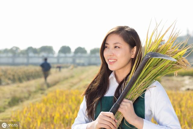 民间习俗丨生辰八字算姻缘从何而来？十二生肖如何定姻缘？