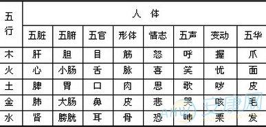 八字生辰起名打分_生辰属相八字五行查询_名字与生辰八字