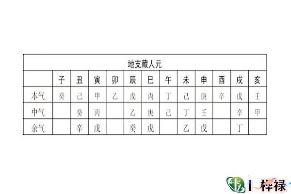 十二地支藏干必背口诀及作用原理