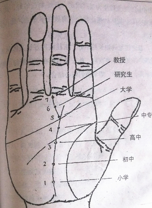 手相图解大全_手相图解_假断掌手相图解