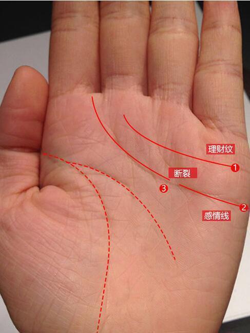 有钱人手相富翁的手相纹_手相凤眼纹_手相感情线岛纹