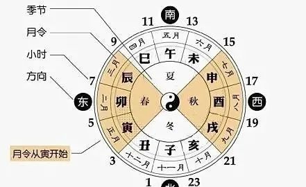 巳火戌土_巳火_丙火日主见地支巳火