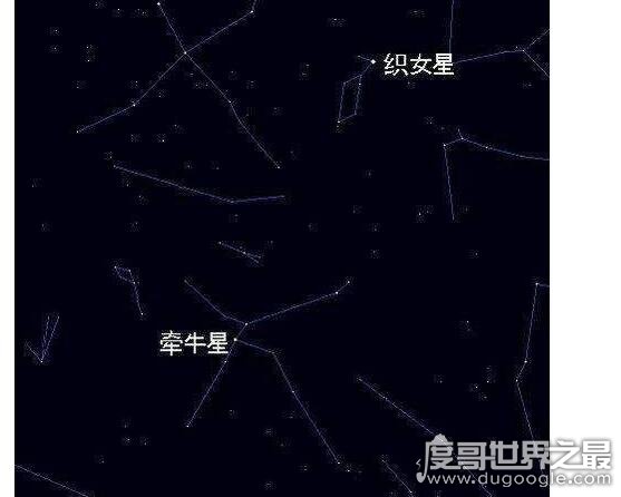 牛郎星是属于什么星座_牛郎星是属于哪种星座_牛郎织女星属于什么星座