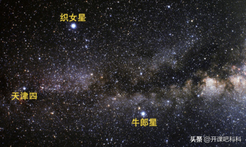 牛郎星位于哪一个星座(知识科普牛郎星的正式名称)