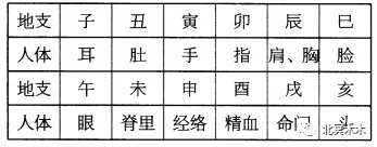 天干地支五行_天干十二 地支十_五行命看天干还是地支