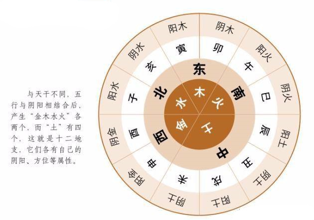 天干地支五行_10天干12地支五行_天干纪年法中天干有10个 地支有几个