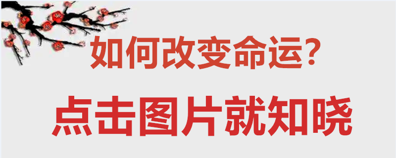 金木水火土命_曰水火 木金土_十二生肖什么命水火士