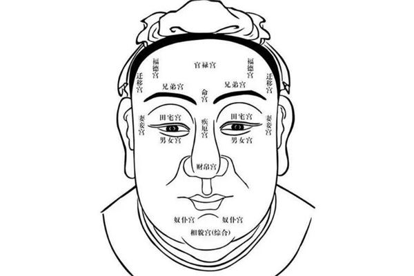 看男人面相算命图解_男人颧骨高面相_怎么看男人的面相