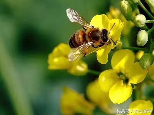 术以明道：卦象风水涣之天水讼的亲历解读 文读古