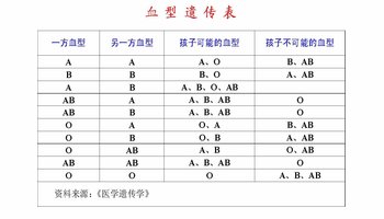 血型与性格分析