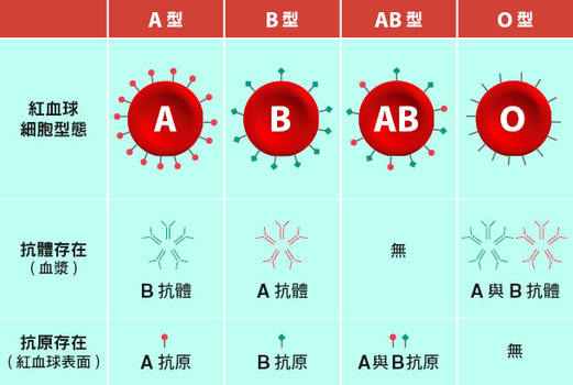 ab血型水瓶座女生性格_血型性格_四种血型性格特征