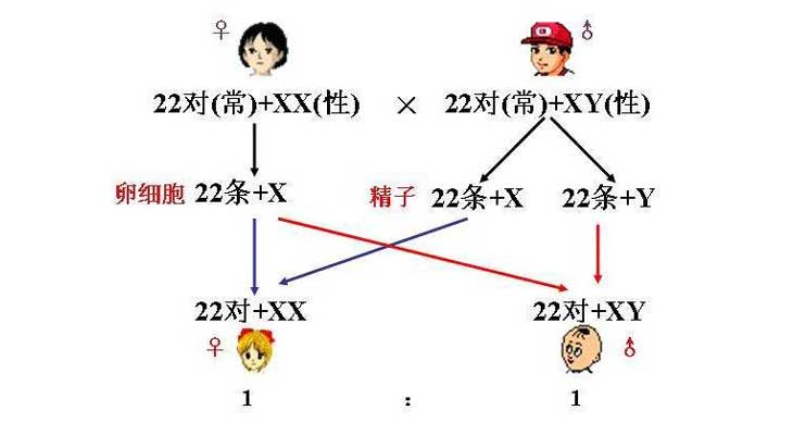 姓归_l姓男星和w姓女星_姓曾和那些姓是一个姓