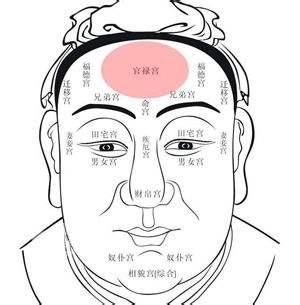 崇明长兴岛垂珠园_双耳垂珠的男人_垂珠试族谱格式下载