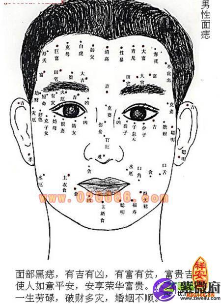 面相算命图解面相十二宫位置_面相算命图解最易薄情的男人面相_如何看面相算命图解