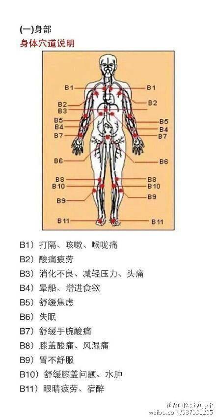 五行健康体操高清视频下载_五行与健康_五行健康体操mp4