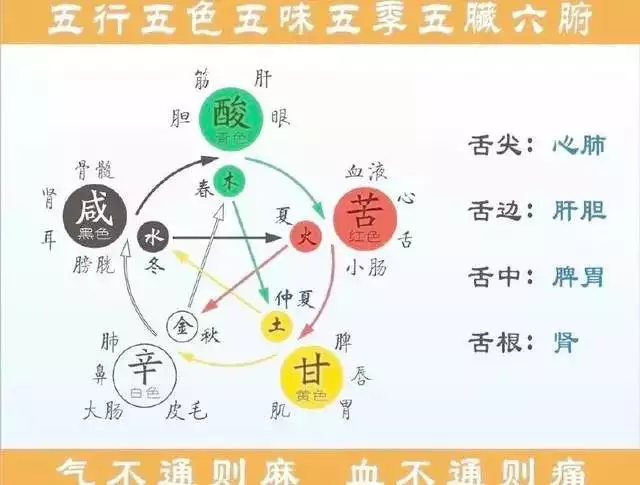 3、十二生肖金木水火土相生相克表:五行相生相克，十二生肖相生相克的具体内容，是什么啊？