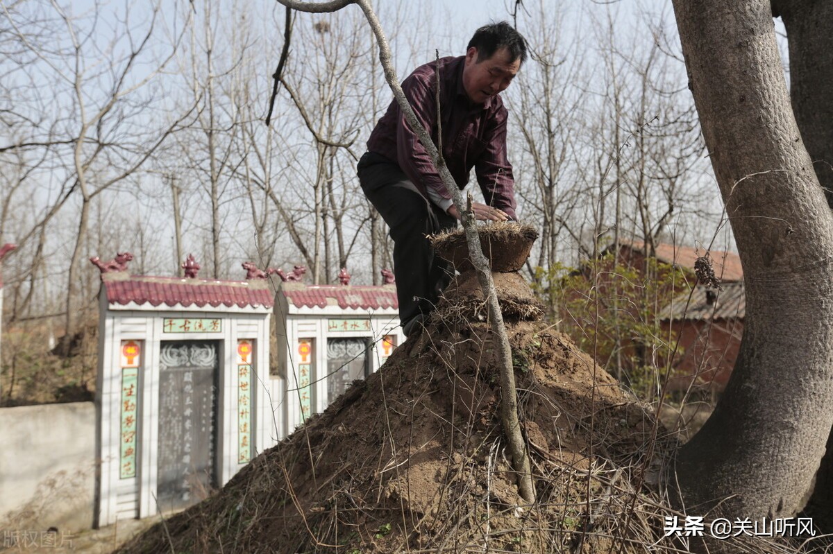 农村俗语：“千年坟场不如当年屋场”，什么意思？为什么这么说？