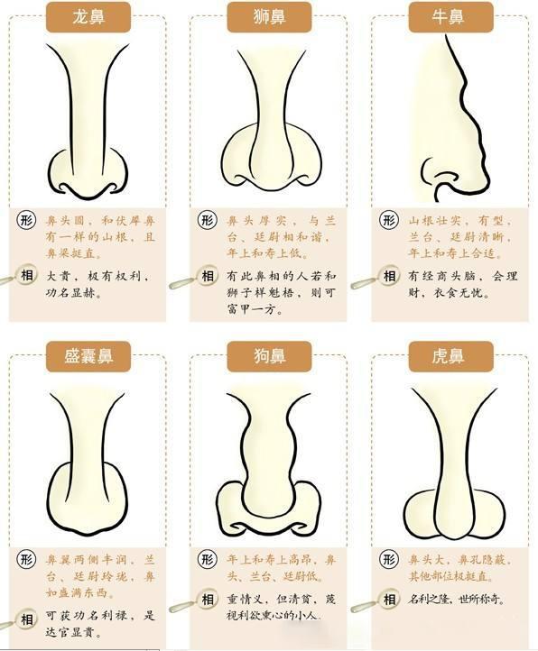 右鼻翼高于左鼻翼面相_鼻翼宽面相_鼻翼宽怎么办