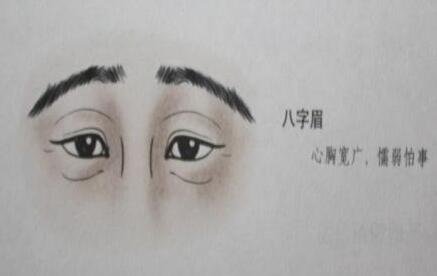 眉姐叫我小男人_倒八字眉的男人_八字男人中的男人