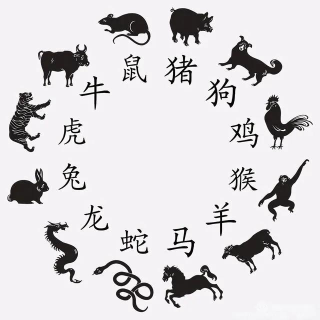 各个属相最怕的是什么？