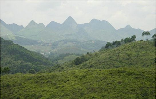 阴宅风水是真的还是假的迷信的，阴宅风水是朝山重要还是水口重要？