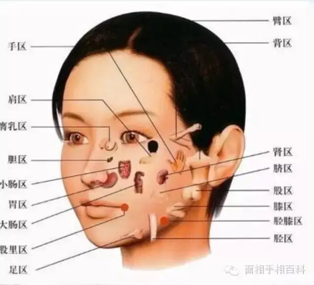 周易看面相_看周易五行表_周易面相图解