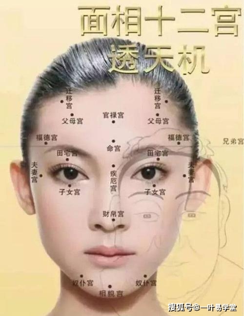 人中面相_水滴型人中女人面相_人中水滴型面相图片