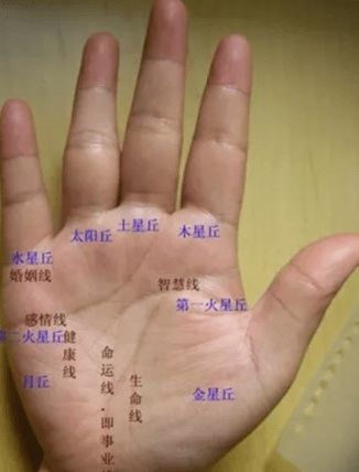 9种手纹的女人命好_即将发横财命手纹_手纹乱好还是不乱好