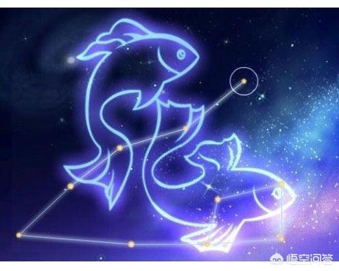 你觉得双鱼座和什么星座比较配？双鱼座的人会喜欢什么星座的人？(图5)