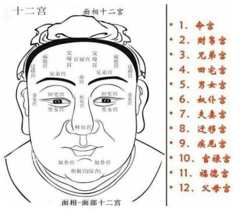 佩恩头像黑白紫色眼睛_眼睛黑白分明_眼睛黑白分明是富贵相