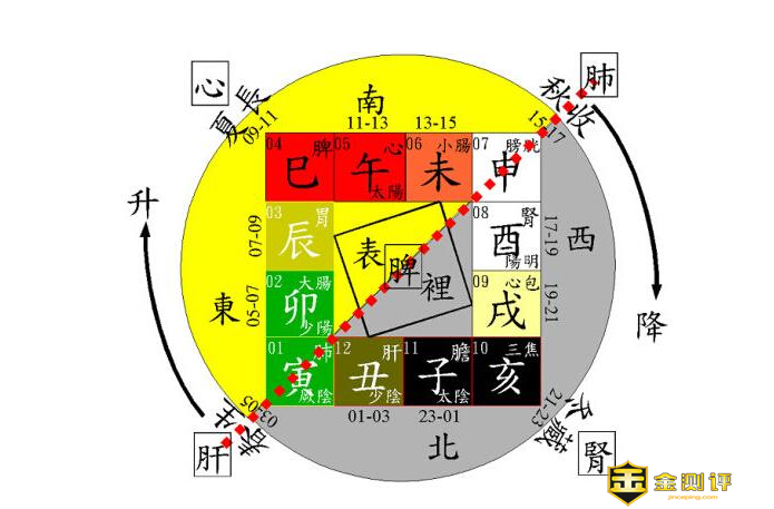 辰时是几点？辰时出生五行属什么？十二时辰时间表详细对应表？