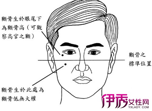 【图】男人颧骨高代表什么      七种男人颧骨高面相解说