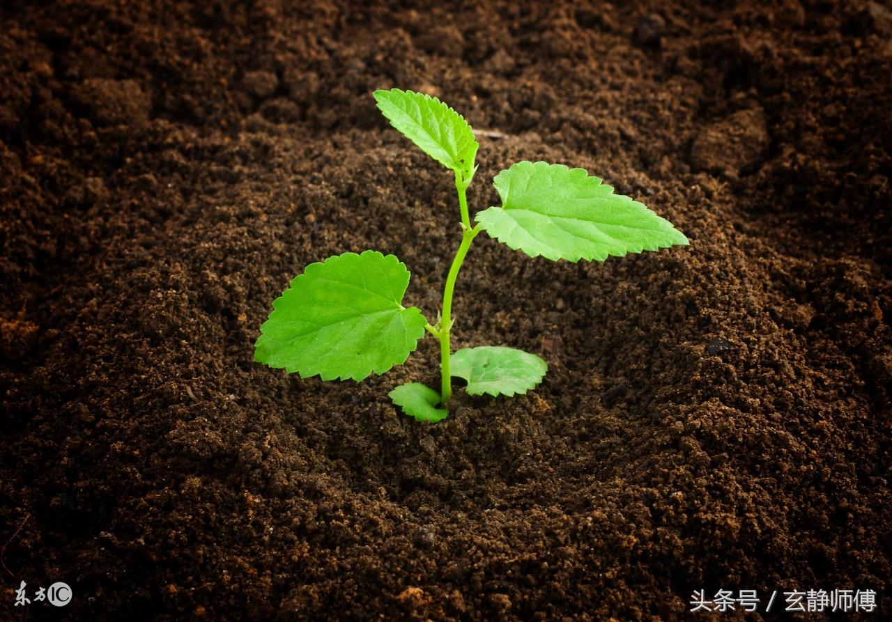 伤官偏财七杀贵大富大是什么命_伤官偏财七杀天干齐透_大富大贵多半是七杀伤官偏财