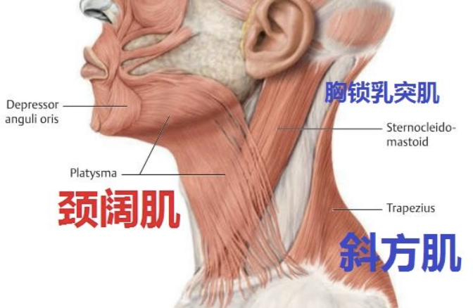 抬头纹开了_抬头纹很深怎么办_抬头纹太深