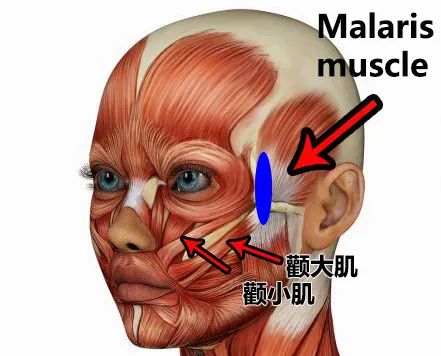 抬头纹开了_抬头纹很深怎么办_抬头纹太深