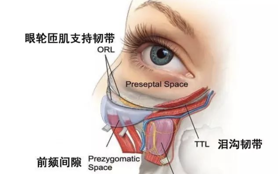 抬头纹很深怎么办_抬头纹开了_抬头纹太深